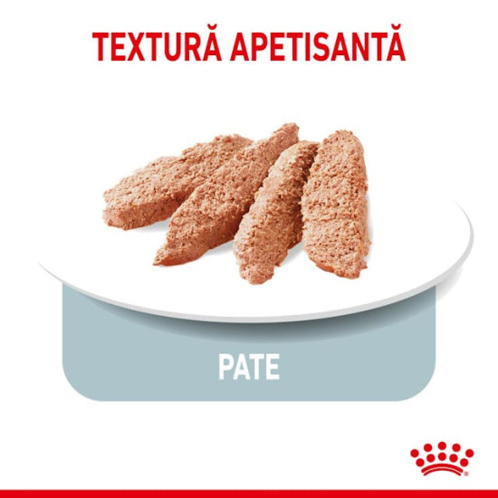 Royal Canin Light Weight Care All Sizes – Hrană Umedă pentru Câini cu Tendință la Exces de Greutate, tip Pate, 85 g
